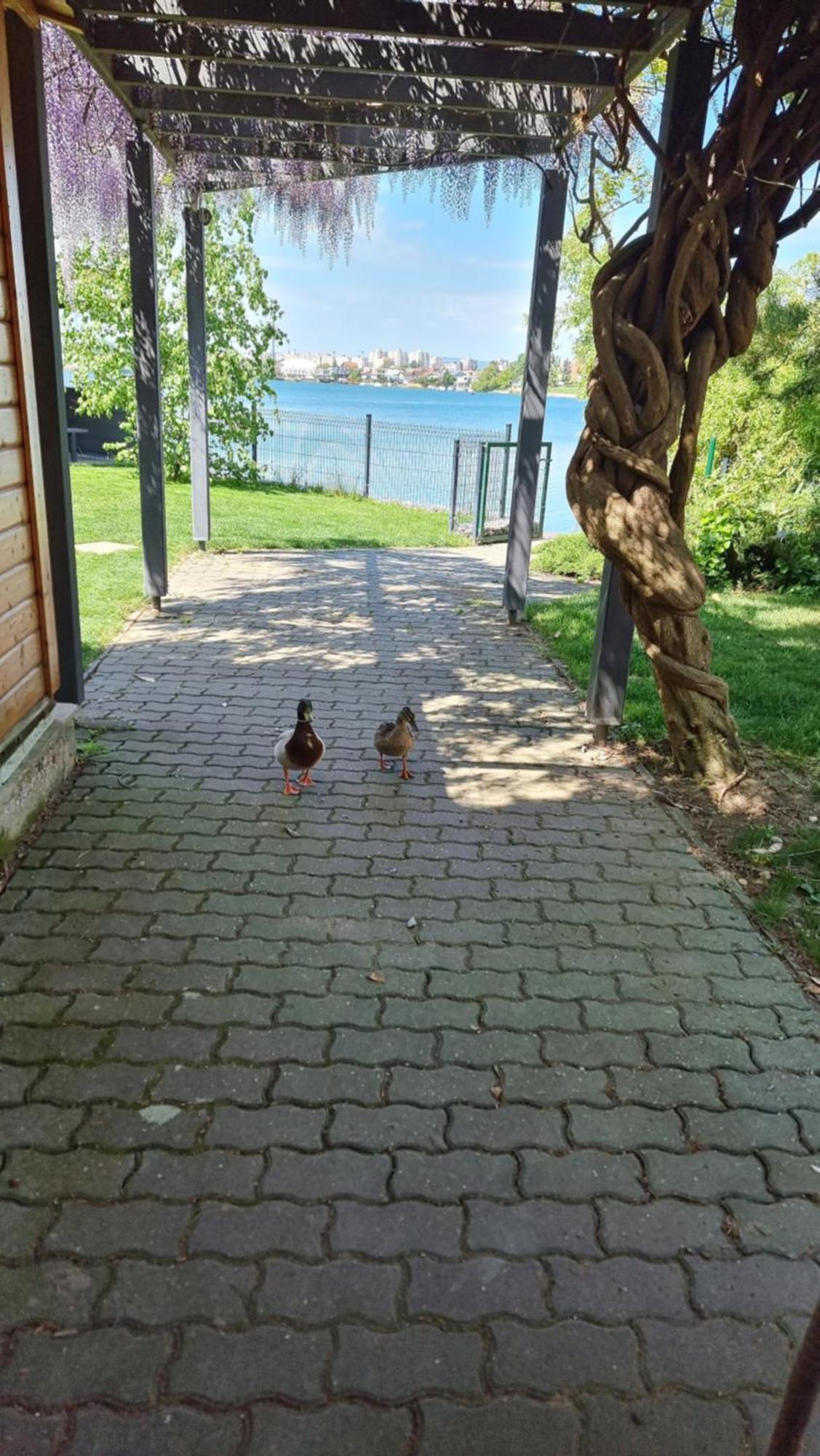 Topsenec-Lakeside Home Exteriör bild